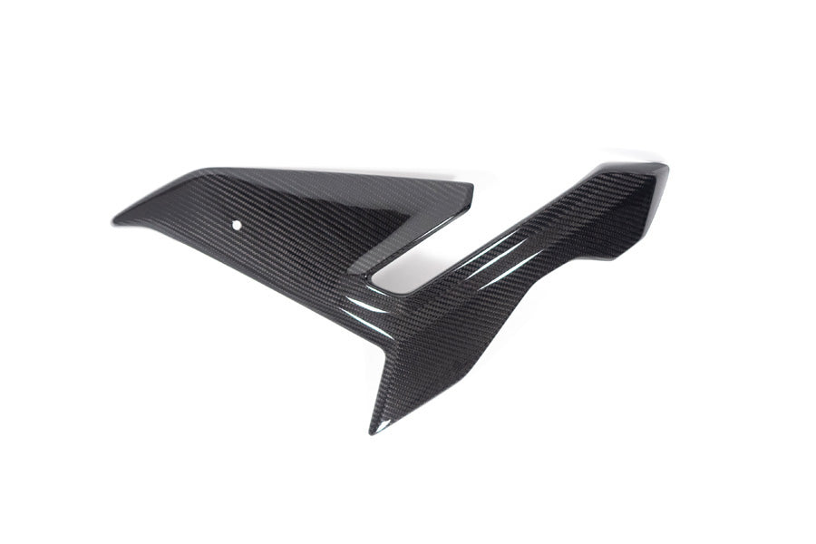 Ilmberger Side fairing - carbon - left