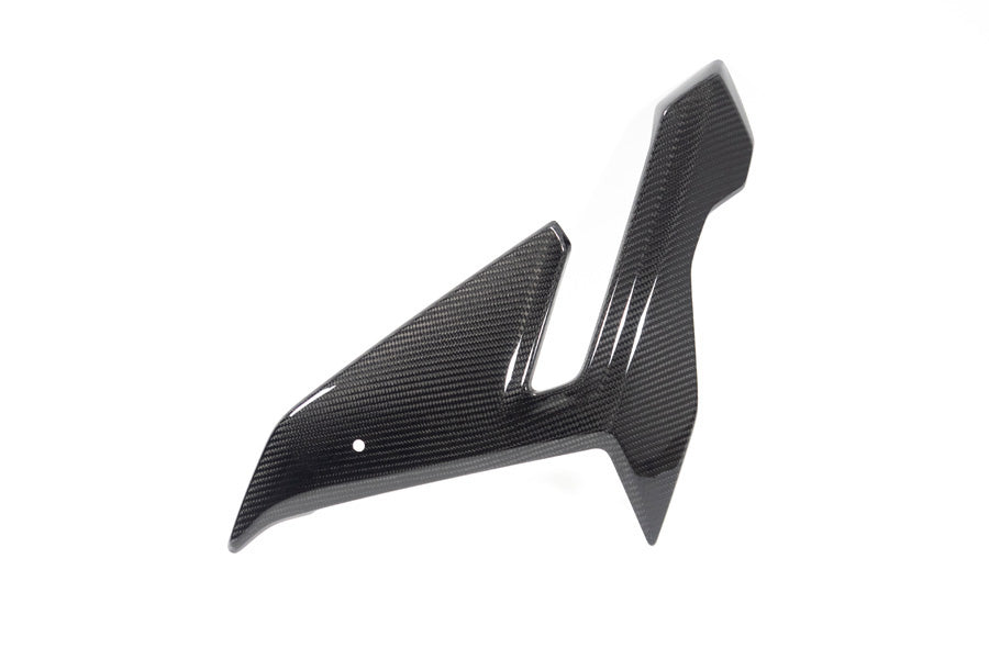 Ilmberger Side fairing - carbon - left