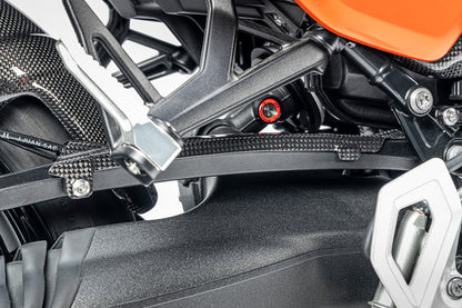 Ilmberger brake line cover R 12 nineT - carbon - glossy