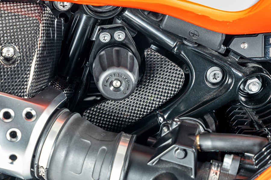 Ilmberger Toolbox Cover BMW R 12 NineT - carbon - glossy