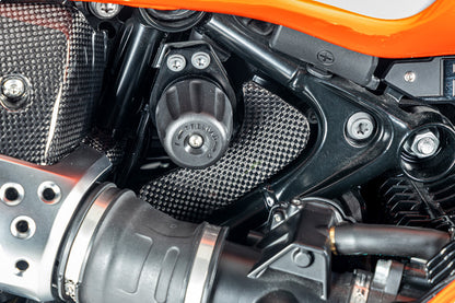 Ilmberger Toolbox Cover BMW R 12 NineT - carbon - glossy