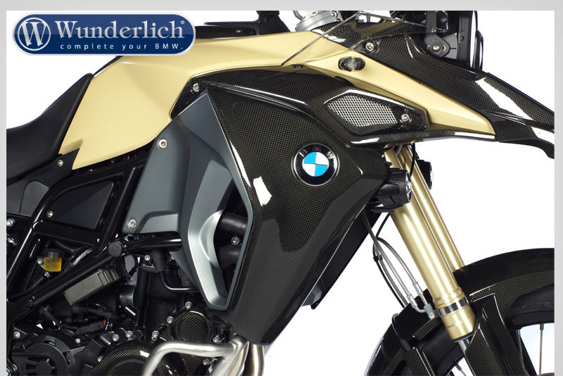 Left water cooler protection - left - carbon