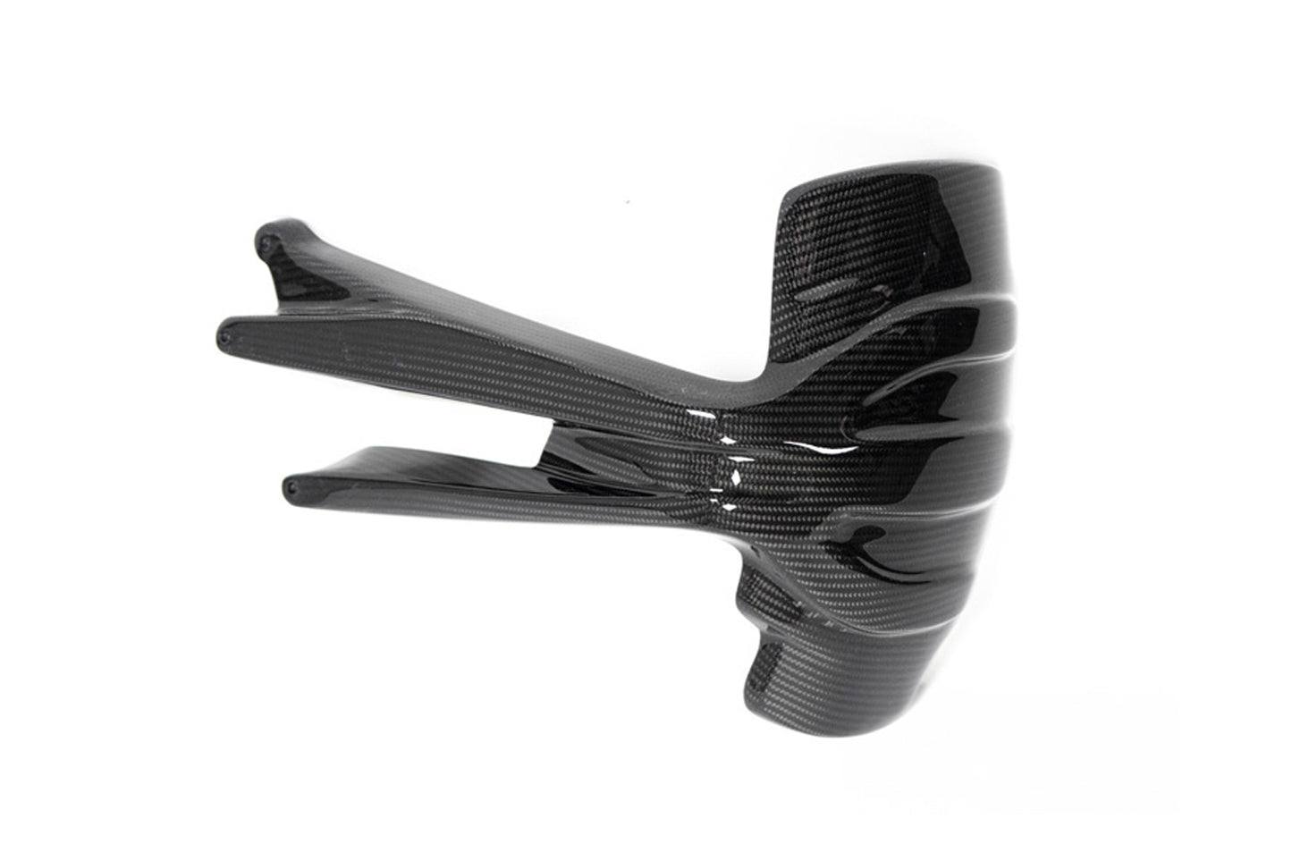 Ilmberger Splash guard R 1250 GS - rear - carbon - glossy