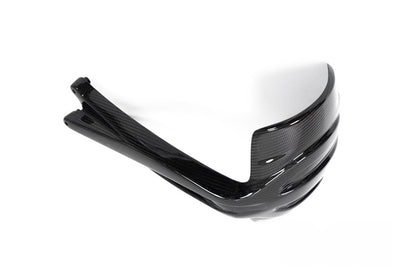 Ilmberger Splash guard R 1250 GS - rear - carbon - glossy