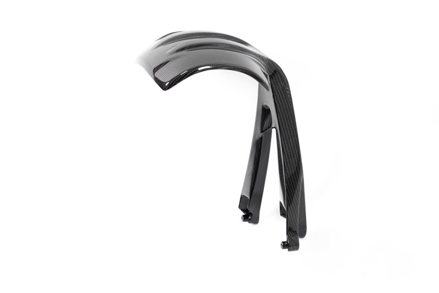 Ilmberger Splash guard R 1250 GS - rear - carbon - glossy
