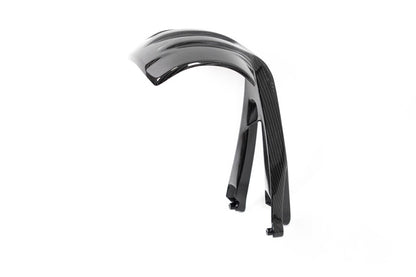 Ilmberger Splash guard R 1250 GS - rear - carbon - glossy