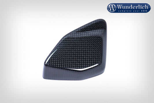 ESA-Box cover - carbon