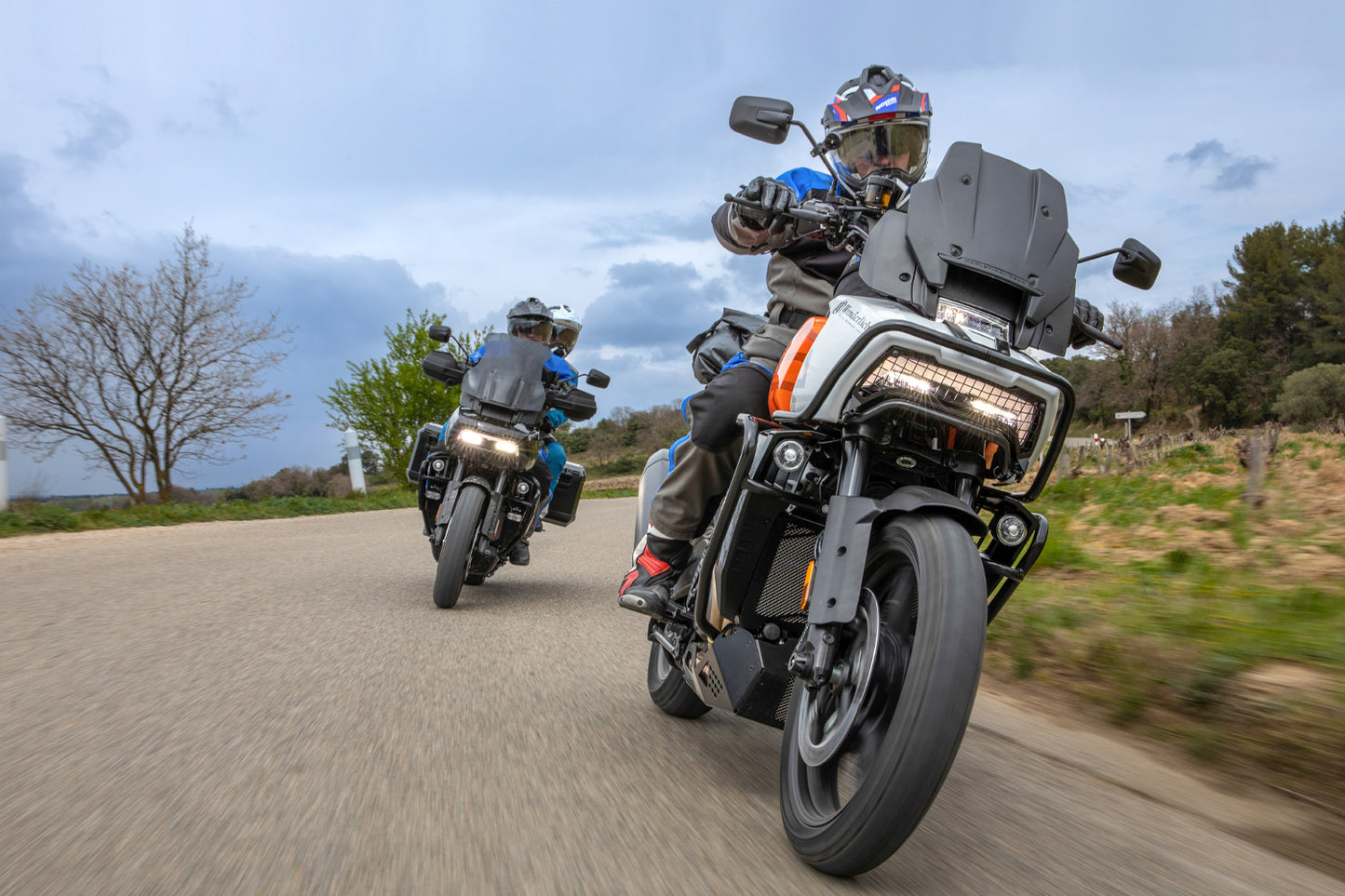 Wunderlich headlight protection grill, foldable