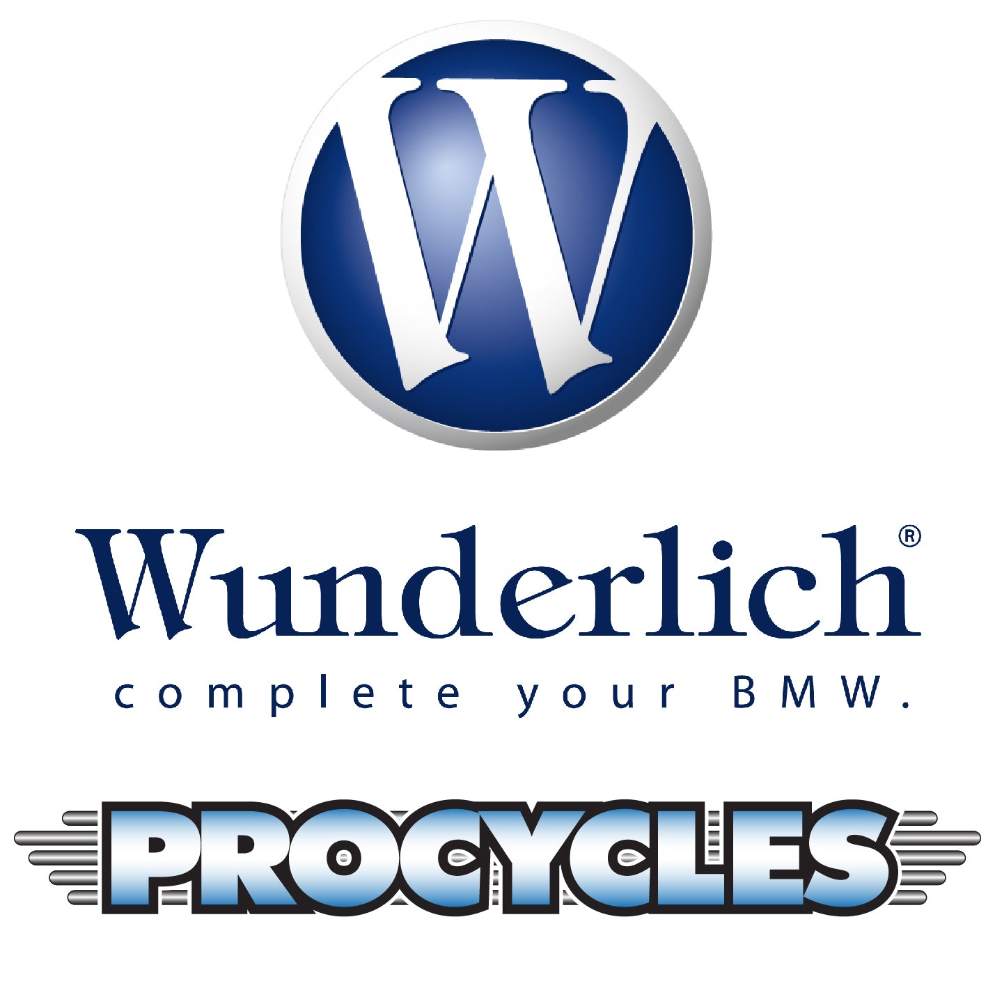 Rear hugger | chain guard - carbon