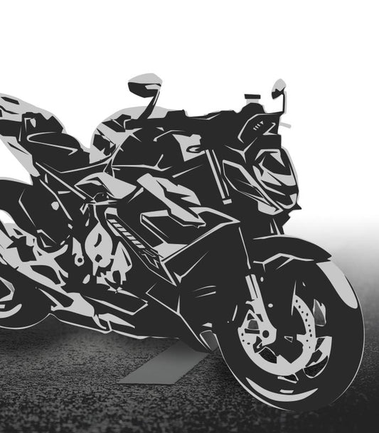 M1000 R Wunderlich Parts