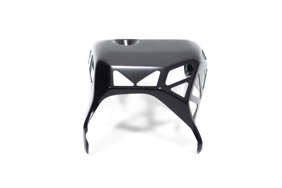 Ilmberger Engine protection - carbon